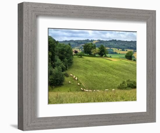 Pastoral Countryside V-Colby Chester-Framed Photographic Print