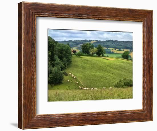 Pastoral Countryside V-Colby Chester-Framed Photographic Print