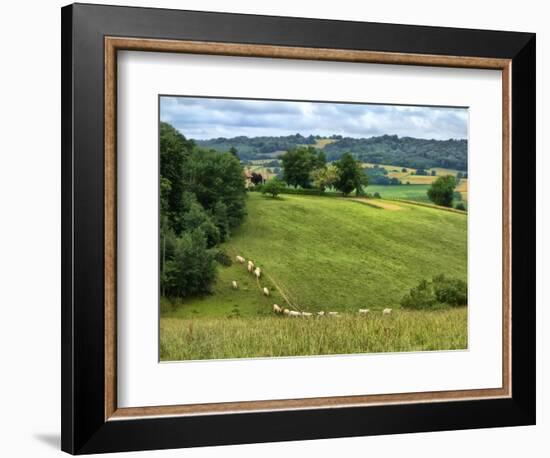 Pastoral Countryside V-Colby Chester-Framed Photographic Print