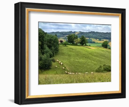 Pastoral Countryside V-Colby Chester-Framed Photographic Print