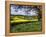 Pastoral Countryside XIV-Colby Chester-Framed Premier Image Canvas