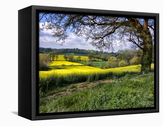 Pastoral Countryside XIV-Colby Chester-Framed Premier Image Canvas