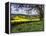 Pastoral Countryside XIV-Colby Chester-Framed Premier Image Canvas