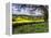 Pastoral Countryside XIV-Colby Chester-Framed Premier Image Canvas