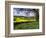 Pastoral Countryside XIV-Colby Chester-Framed Photographic Print