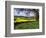 Pastoral Countryside XIV-Colby Chester-Framed Photographic Print