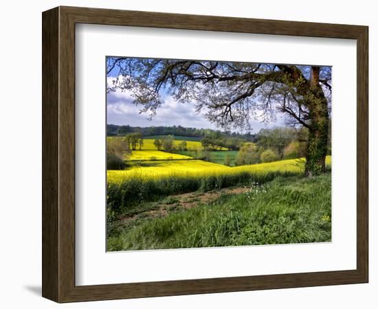 Pastoral Countryside XIV-Colby Chester-Framed Photographic Print