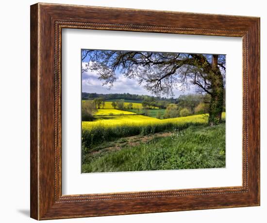 Pastoral Countryside XIV-Colby Chester-Framed Photographic Print