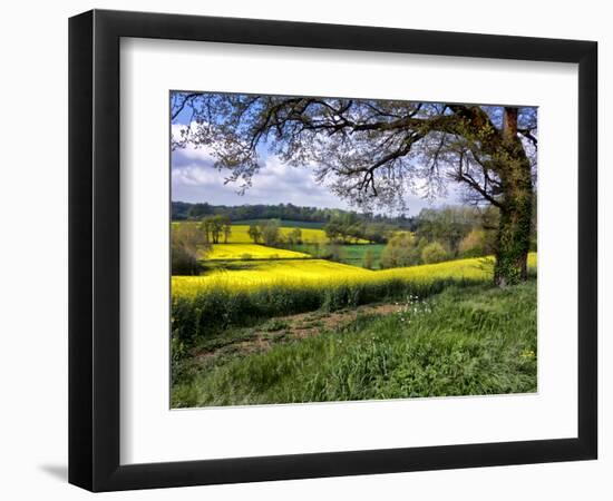 Pastoral Countryside XIV-Colby Chester-Framed Photographic Print