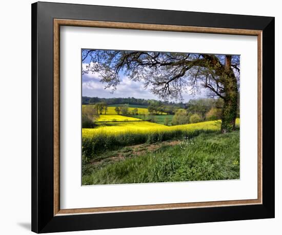 Pastoral Countryside XIV-Colby Chester-Framed Photographic Print