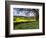 Pastoral Countryside XIV-Colby Chester-Framed Photographic Print