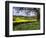 Pastoral Countryside XIV-Colby Chester-Framed Photographic Print