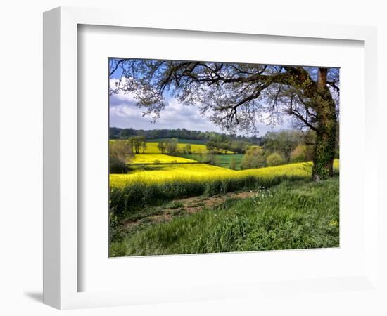 Pastoral Countryside XIV-Colby Chester-Framed Photographic Print