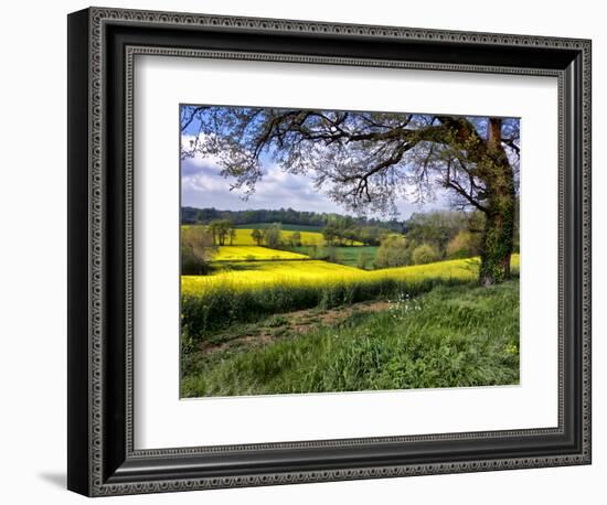 Pastoral Countryside XIV-Colby Chester-Framed Photographic Print