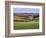 Pastoral Countryside XVII-Colby Chester-Framed Photographic Print