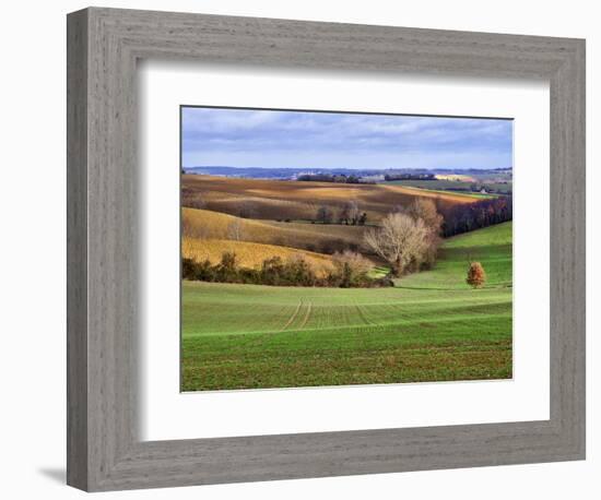 Pastoral Countryside XVII-Colby Chester-Framed Photographic Print