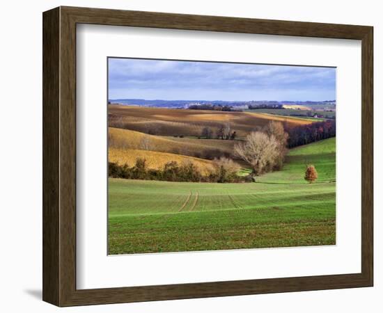 Pastoral Countryside XVII-Colby Chester-Framed Photographic Print