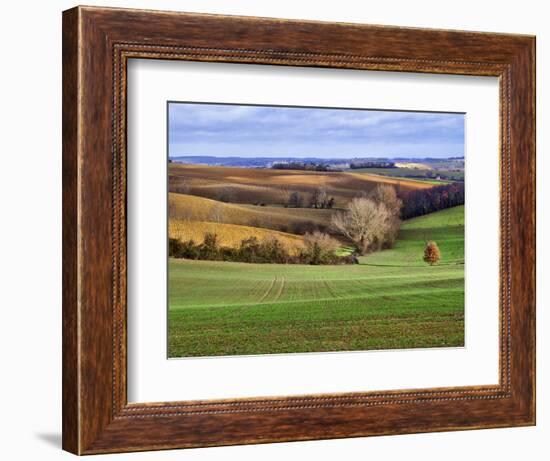 Pastoral Countryside XVII-Colby Chester-Framed Photographic Print