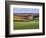 Pastoral Countryside XVII-Colby Chester-Framed Photographic Print