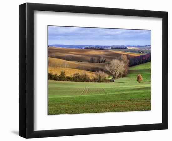 Pastoral Countryside XVII-Colby Chester-Framed Photographic Print