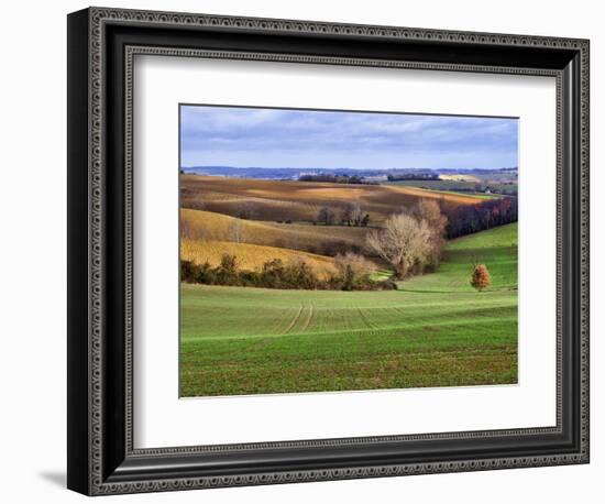 Pastoral Countryside XVII-Colby Chester-Framed Photographic Print