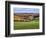 Pastoral Countryside XVII-Colby Chester-Framed Photographic Print