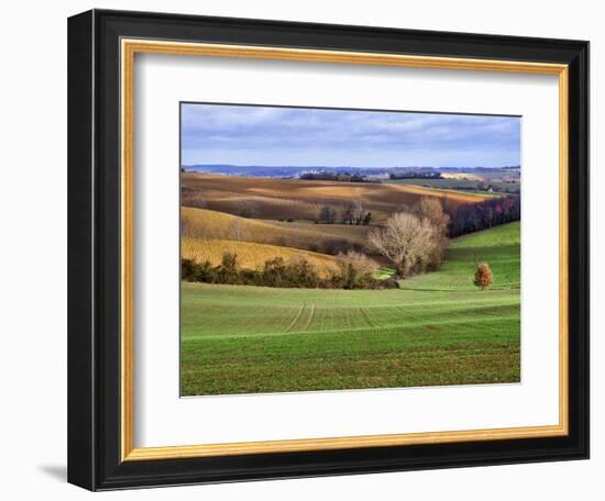 Pastoral Countryside XVII-Colby Chester-Framed Photographic Print