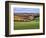 Pastoral Countryside XVII-Colby Chester-Framed Photographic Print