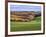 Pastoral Countryside XVII-Colby Chester-Framed Photographic Print