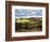 Pastoral Countryside XVIII-Colby Chester-Framed Photographic Print