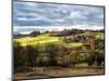 Pastoral Countryside XVIII-Colby Chester-Mounted Photographic Print