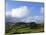 Pastoral Countyside And Hill Farm Near Leean Mountain, County Leitrim. Ireland-null-Mounted Photographic Print