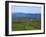 Pastoral Countyside Near Bulls Head Overlooking Dingle Bay And the Distant Ring of Kerry-null-Framed Photographic Print