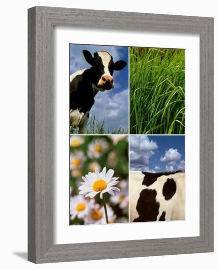 Pastoral Cow-Panais & Morcime Dumoulin-Framed Art Print