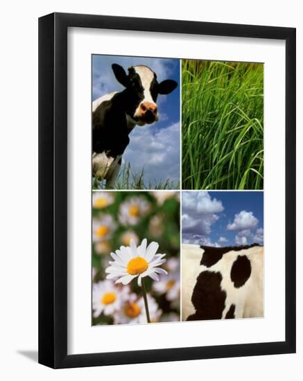 Pastoral Cow-Panais & Morcime Dumoulin-Framed Art Print