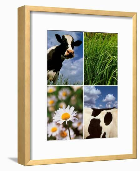 Pastoral Cow-Panais & Morcime Dumoulin-Framed Art Print