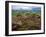 Pastoral Fields from Above Coumshingaun Lake, Comeragh Mountains, County Waterford, Ireland-null-Framed Photographic Print