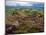 Pastoral Fields from Above Coumshingaun Lake, Comeragh Mountains, County Waterford, Ireland-null-Mounted Photographic Print