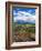 Pastoral Fields from Above Coumshingaun Lake, Comeragh Mountains, County Waterford, Ireland-null-Framed Photographic Print