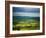 Pastoral Fields, Near Clonea, County Waterford, Ireland-null-Framed Photographic Print
