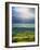 Pastoral Fields, Near Clonnee, County Waterford, Ireland-null-Framed Photographic Print