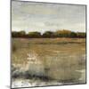 Pastoral I-Tim O'toole-Mounted Art Print