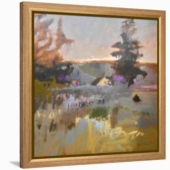 Pastoral IX-Jane Schmidt-Framed Stretched Canvas