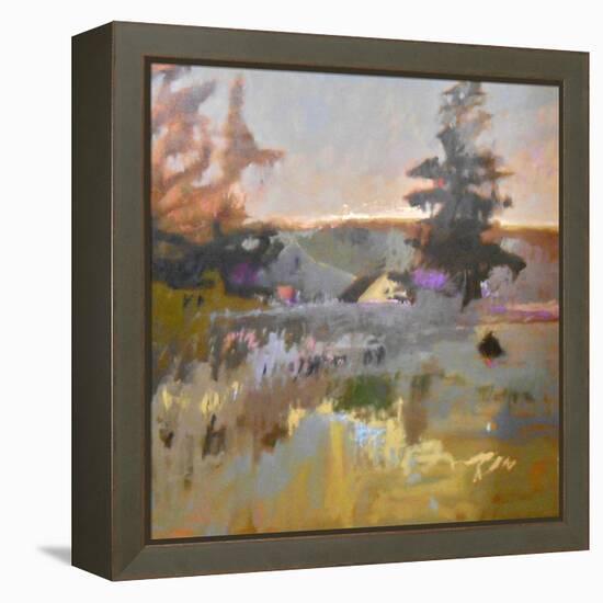 Pastoral IX-Jane Schmidt-Framed Stretched Canvas