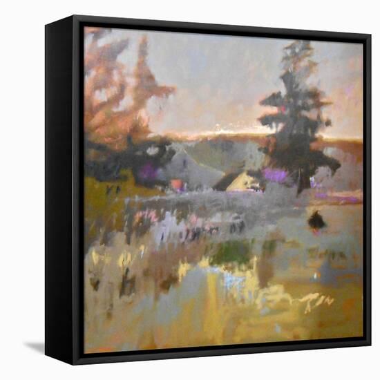 Pastoral IX-Jane Schmidt-Framed Stretched Canvas