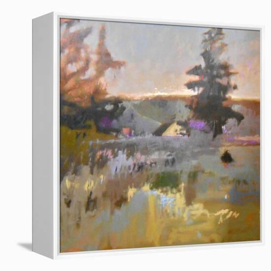 Pastoral IX-Jane Schmidt-Framed Stretched Canvas