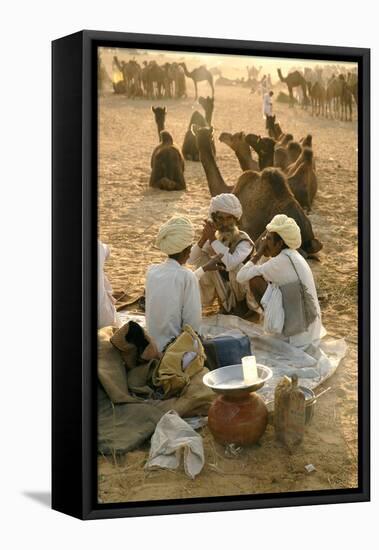 Pastoral Nomads at Annual Pushkar Camel Fair, Rajasthan, Raika, India-David Noyes-Framed Premier Image Canvas