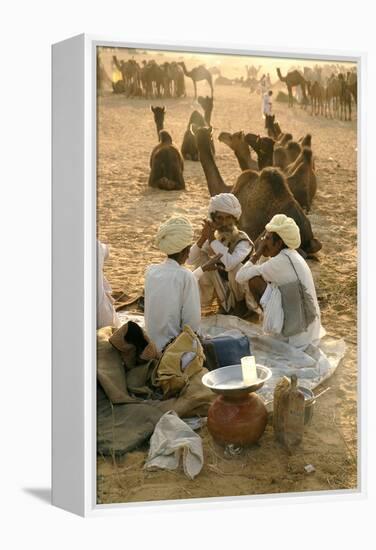 Pastoral Nomads at Annual Pushkar Camel Fair, Rajasthan, Raika, India-David Noyes-Framed Premier Image Canvas