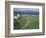 Pastoral Scene, Isle of Iona, Scotland-William Sutton-Framed Photographic Print