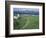 Pastoral Scene, Isle of Iona, Scotland-William Sutton-Framed Photographic Print